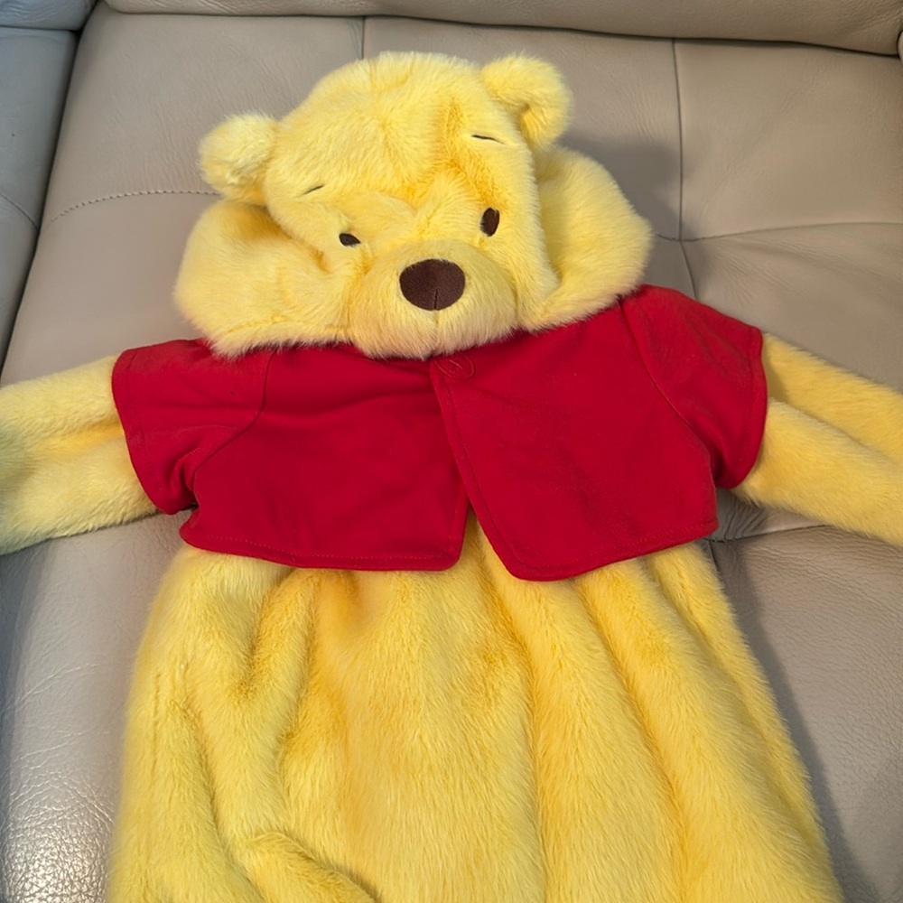 Pottery barn baby Winnie the Pooh costume